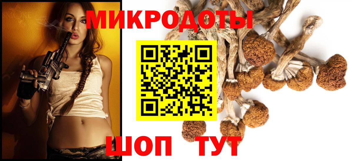 Галлюциногенные грибы мухоморы Соль-Илецк